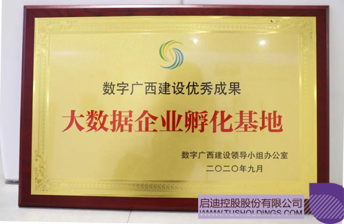 1603071995317976.jpg 2.JPG